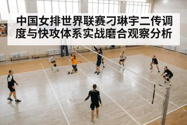 volleyball quick attack net